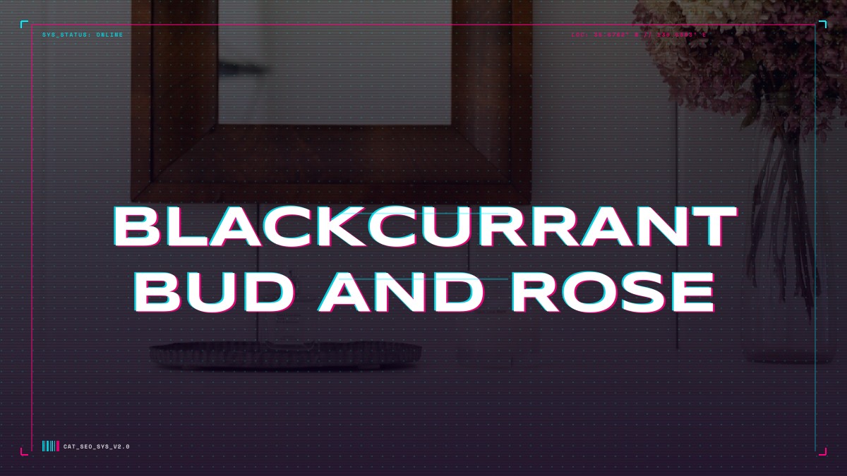 blackcurrant bud and rose