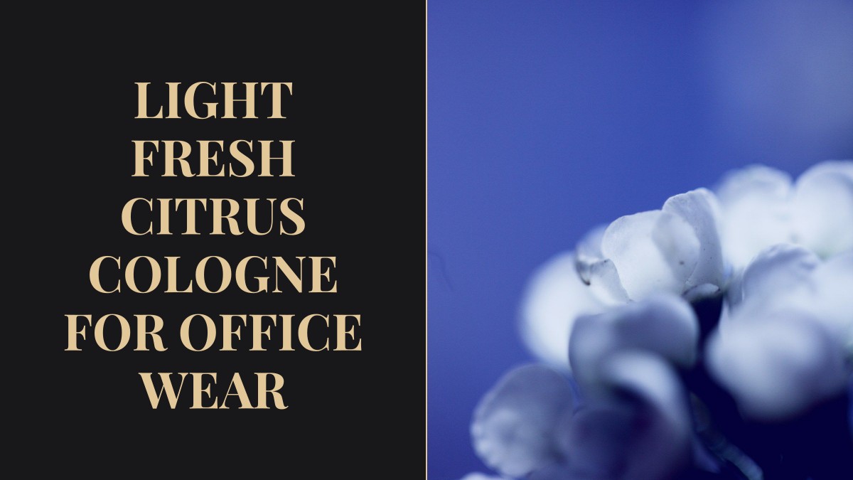 light fresh citrus cologne for office wear