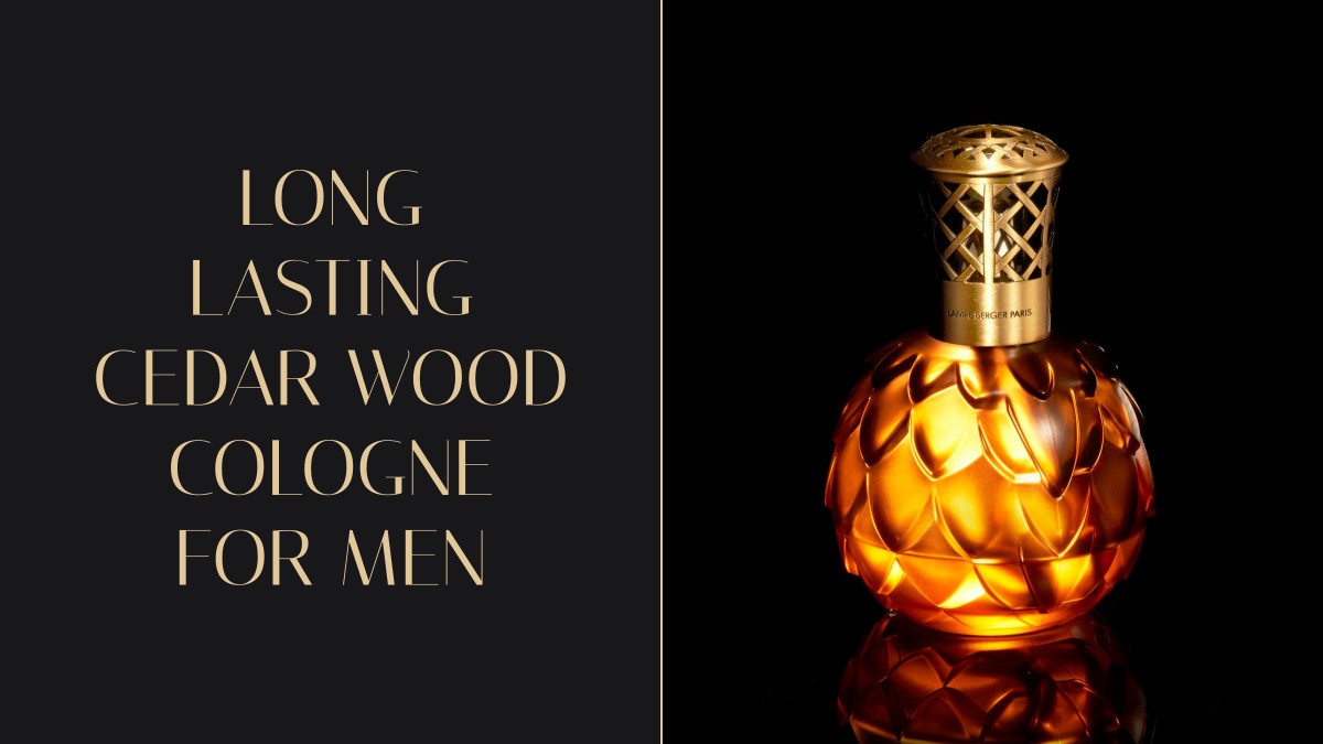 long lasting cedar wood cologne for men