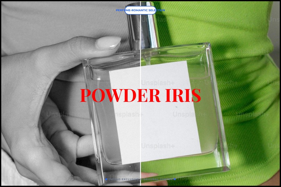 powder iris