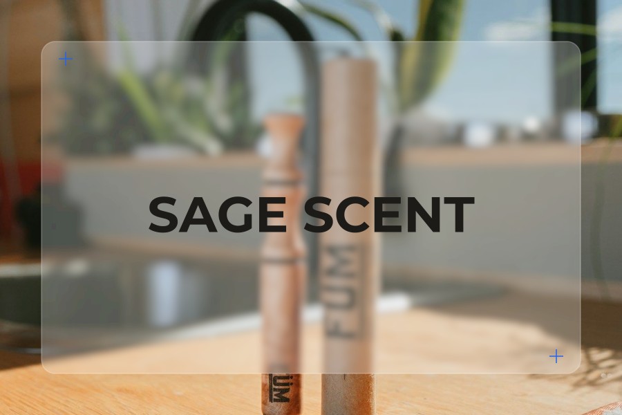 sage scent