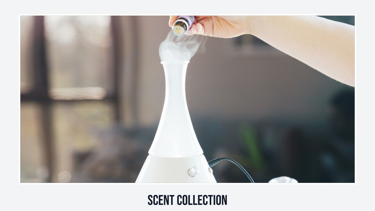 scent collection