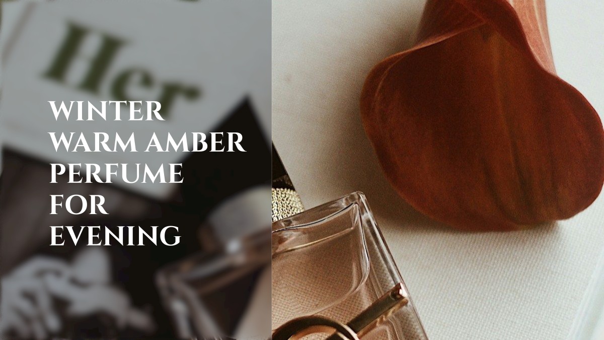 winter warm amber perfume for evening