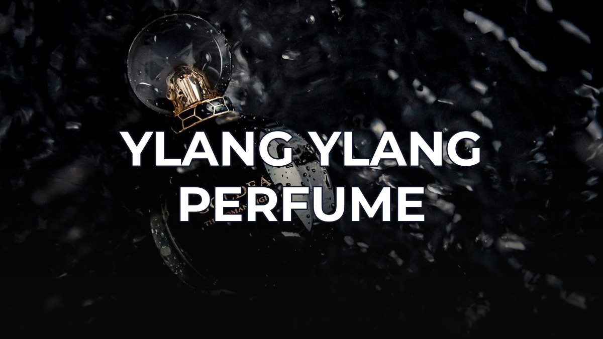 ylang ylang perfume