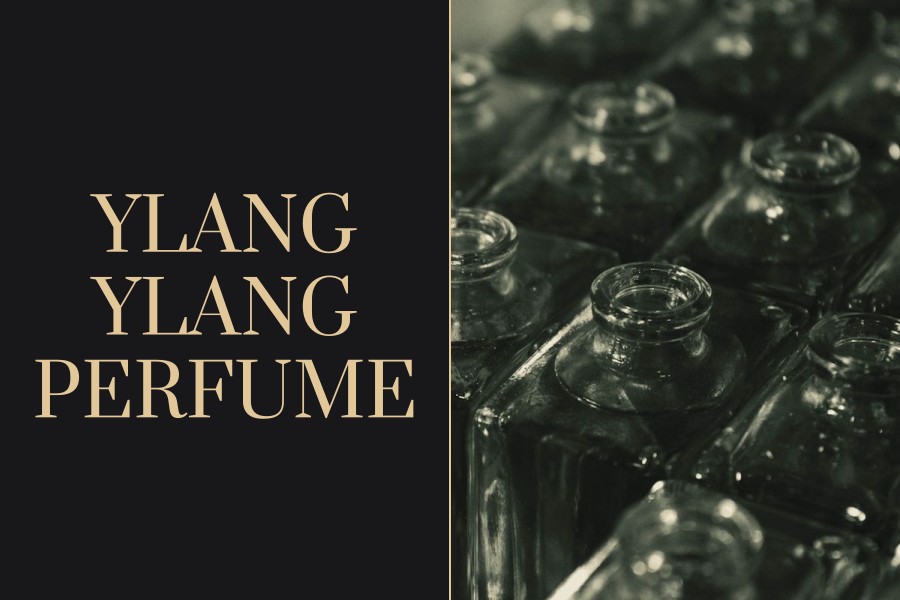 ylang ylang perfume