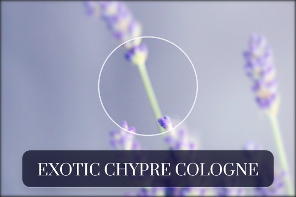exotic chypre cologne