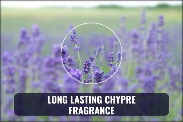 long lasting chypre fragrance