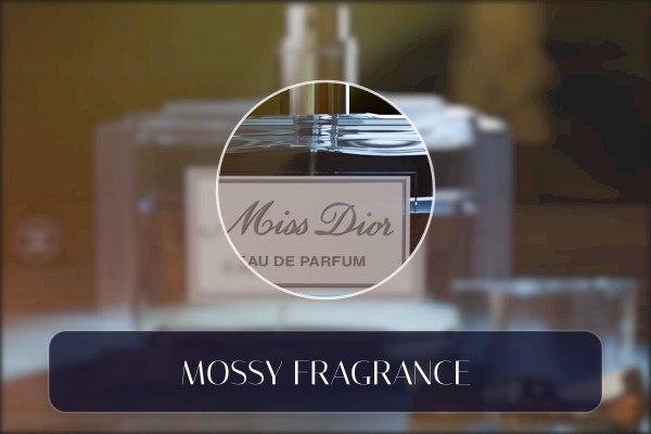mossy fragrance