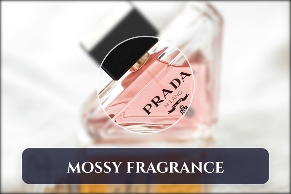 mossy fragrance