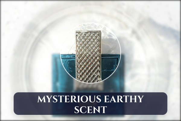 mysterious earthy scent