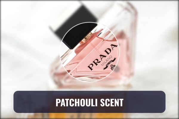 patchouli scent