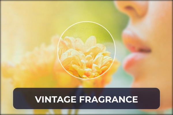 vintage fragrance